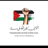 Telegram profile photo for قناة حاسبات الدلتا بالمنصورة