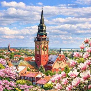 Telegram profile photo for Русская Суботица