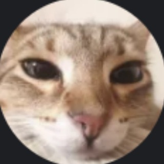 Telegram profile photo for пасматрии!