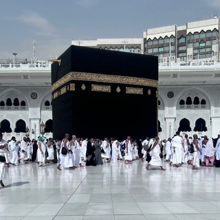 Telegram profile photo for ذكرى .