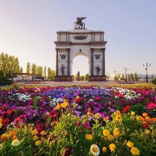Telegram profile photo for Курск Типичный