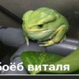Telegram profile photo for хата печени