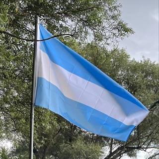 Telegram profile photo for Verdisian Government Updates