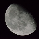 Telegram profile photo for Lunar Observer