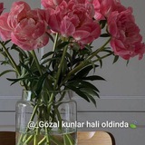 Telegram profile photo for Go'zal kunlar hali oldinda😊