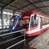 Telegram profile photo for Tрамвай|Tроллейбус|Volgograd 🚏