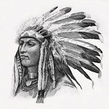 Telegram profile photo for Warriors Awake