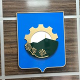 Telegram profile photo for Дума Арсеньевского городского округа