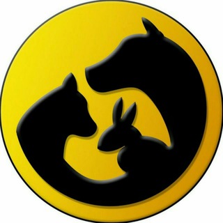 Telegram profile photo for واگذاری رایگان حیوانات