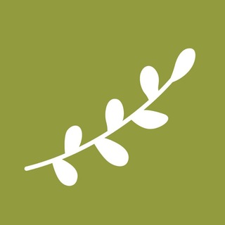 Telegram profile photo for Детская школа искусств № 11