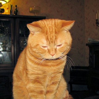 Telegram profile photo for хуй в сапогах