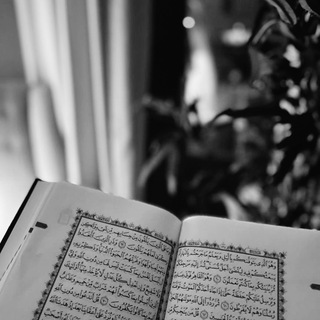Telegram profile photo for ᷂القران هُدى .
