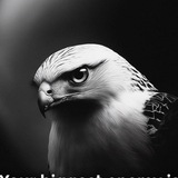 Telegram profile photo for قیمت درهم دوبی