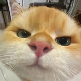 Telegram profile photo for hi