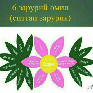 Telegram profile photo for Табиий даво