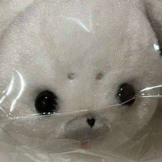 Telegram profile photo for Plush toys confession