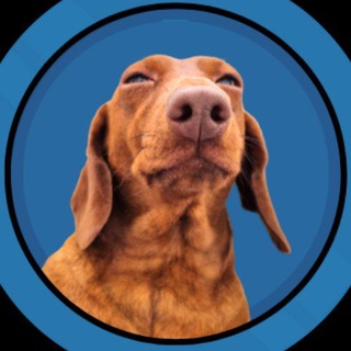 Telegram profile photo for Teckel Kadena