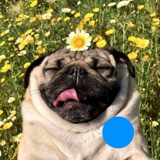 Telegram profile photo for #Я𝐌𝐎𝐏𝐒𝐈