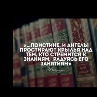 Telegram profile photo for ТУТ ССЫЛКИ, на онлайн уроки, только для БРАТЬЕВ , платно и бесплатно .