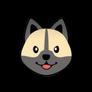 Telegram profile photo for Gatsby - Elon's dog