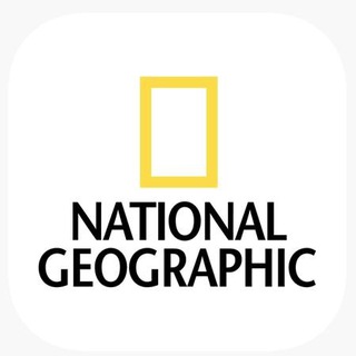 Telegram profile photo for National Geographic