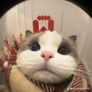 Telegram profile photo for Meow Alpha Call ๐ฐ๐ฐ