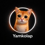 Telegram profile photo for yamkolap