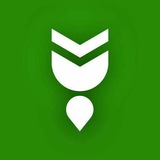Telegram profile photo for "YUKSAK TA‘LIM ACADEMY"