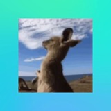 Telegram profile photo for 出海天花板