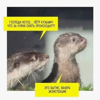 Telegram profile photo for Вяткина. Без соплей.