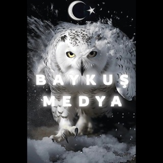 Telegram profile photo for Baykuş 🦉 Medya