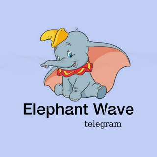Telegram profile photo for 엘리펀트 파동이론 🐘
