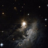 Telegram profile photo for star.