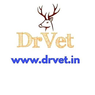 Telegram profile photo for Dr. Vet