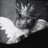 Telegram profile photo for BANDA и Рязанова