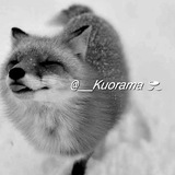 Telegram profile photo for 𝘒𝘶𝘰𝘳𝘢𝘮𝘢