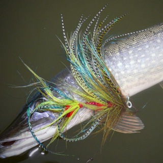 Telegram profile photo for Custom Flies