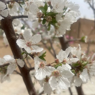 Telegram profile photo for موفقیت از طریق ذهن و فکر