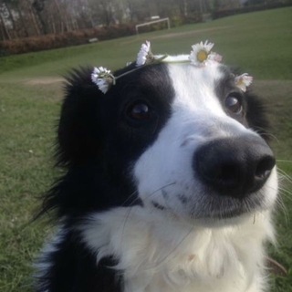Telegram profile photo for новый юз