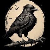 Telegram profile photo for پشتیبانی کلاغ