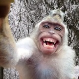 Telegram profile photo for Маи кенты