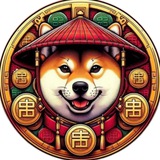 Telegram profile photo for Chinese Shiba CTO - CHIBA