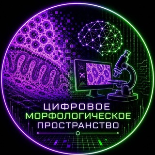 Telegram profile photo for Цифровое морфологическое пространство