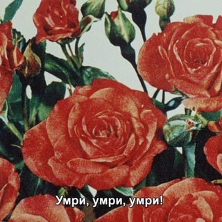 Telegram profile photo for Как выманить кота из подполья