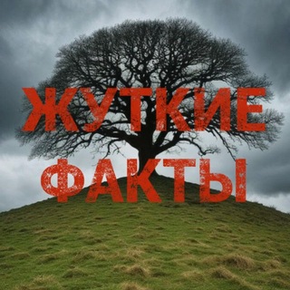 Telegram profile photo for Жуткие факты
