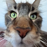 Telegram profile photo for ๐๐ถ๐น๐ป๐ธ๐ฟ1๐