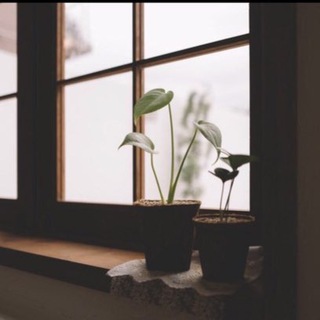 Telegram profile photo for للجنة🌿.
