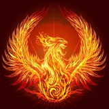 Telegram profile photo for Phoenix Crypto Shots