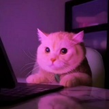 Telegram profile photo for KENZO TRADE NEWS