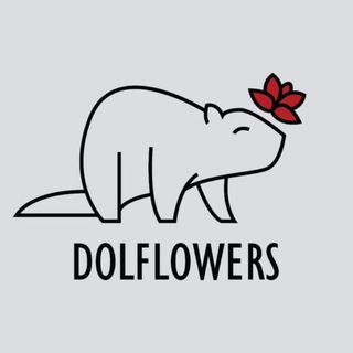 Telegram profile photo for Dolflowers_ 24 часа цветы Долгопрудный Москва